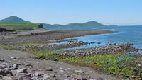 Ring of Kerry Waterville