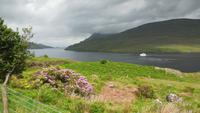 Connemara &ndash; &copy; Petra Sauer (Eberhardt TRAVEL)