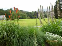Muckross Park