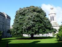Dublin &ndash; &copy; Ralf Kuchenbecker (Eberhardt TRAVEL)