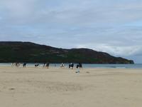 Dunfanaghy Strand &ndash; &copy; Ralf Kuchenbecker (Eberhardt TRAVEL)