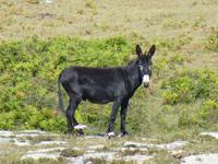 Inishmore