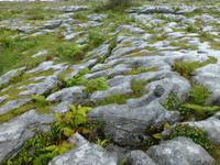 Burren - Strikes und Grikes &ndash; &copy; Ralf Kuchenbecker (Eberhardt TRAVEL)
