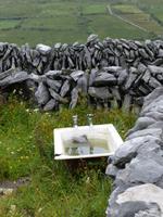 Burren Way - Stillleben &ndash; &copy; Ralf Kuchenbecker (Eberhardt TRAVEL)