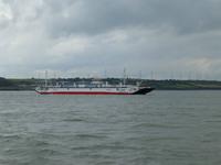 Shannon Ferry