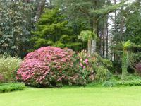 Glenveagh NP &ndash; &copy; Ralf Kuchenbecker (Eberhardt TRAVEL)