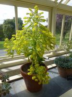 Dublin - National Botanic Garden &ndash; &copy; Ralf Kuchenbecker (Eberhardt TRAVEL)