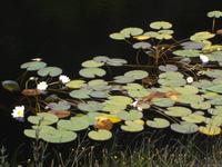 Kylemore Abbey &ndash; &copy; Michael Krause (Eberhardt TRAVEL)