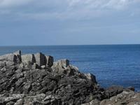 Giants Causeway