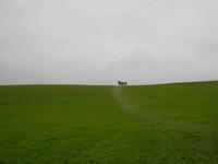 Megalith-Gräber von Carrrowmore &ndash; &copy; Walter Neuwirth (Eberhardt TRAVEL)