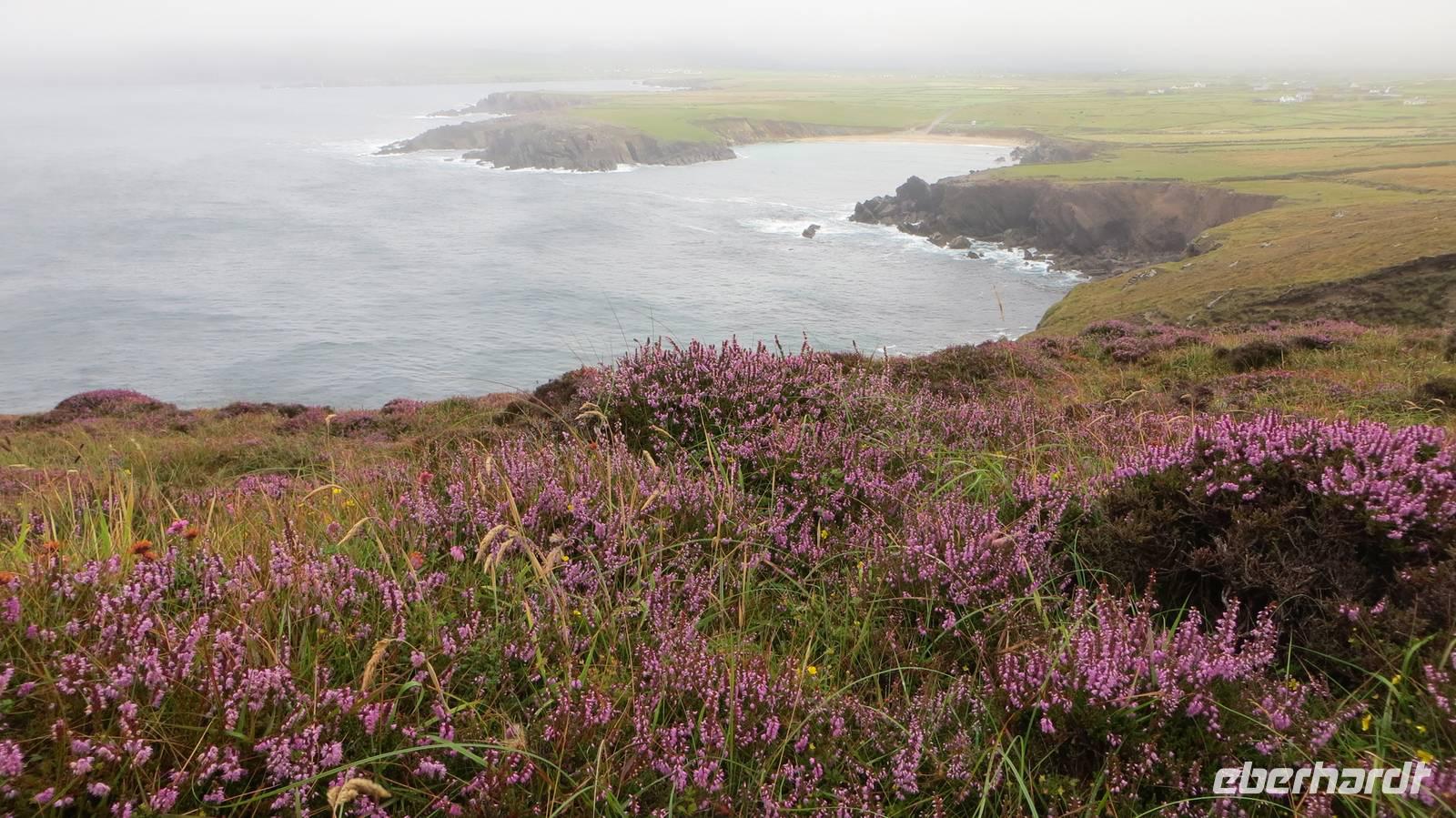 Dingle &ndash; &copy; Petra Sauer (Eberhardt TRAVEL)