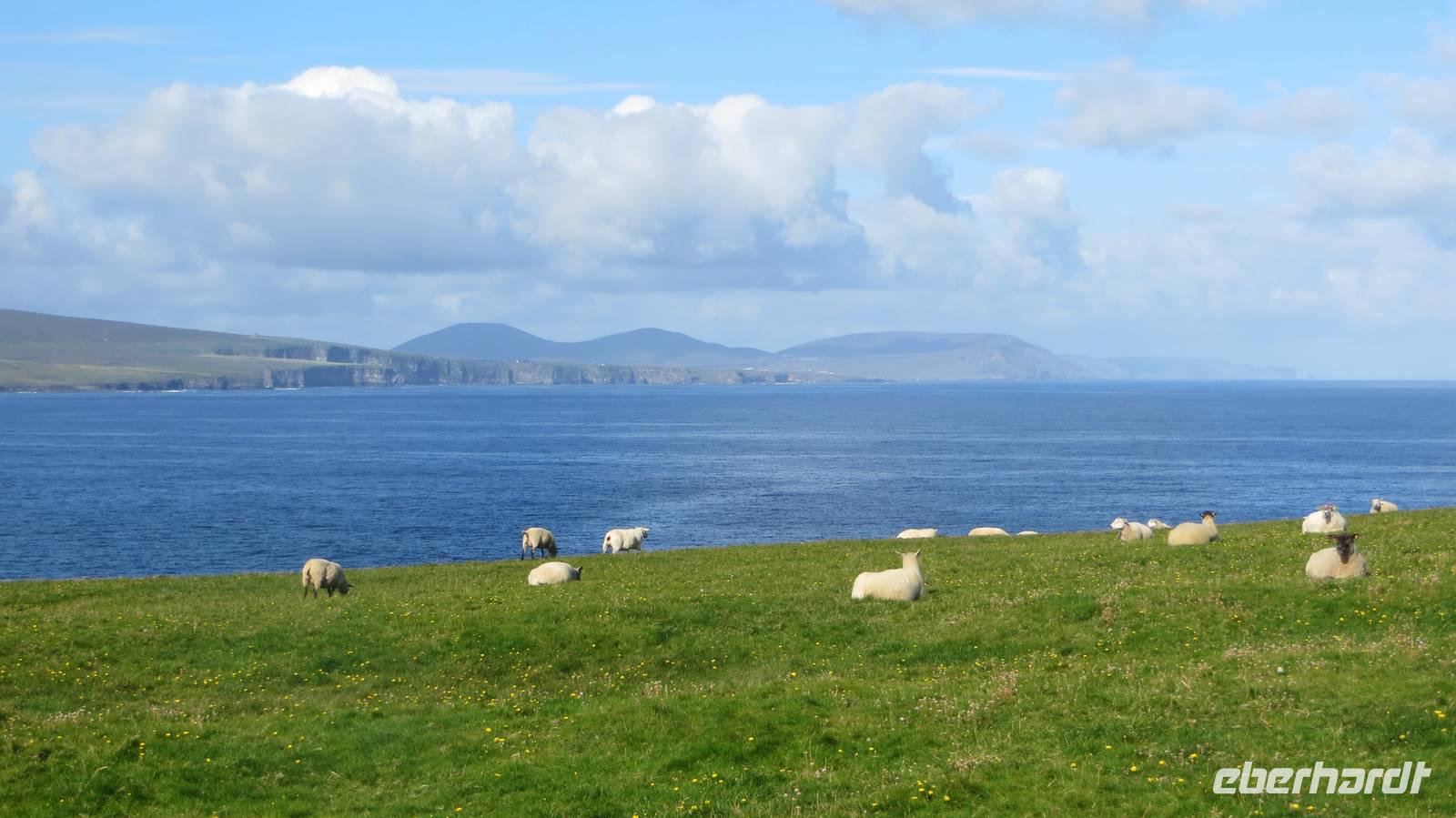 Downpatrick Head &ndash; &copy; Petra Sauer (Eberhardt TRAVEL)