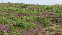 Giants Causeway &ndash; &copy; Petra Sauer (Eberhardt TRAVEL)