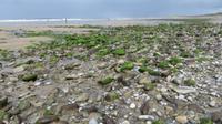 Strandhill &ndash; &copy; Petra Sauer (Eberhardt TRAVEL)