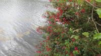 Kylemore  &ndash; &copy; Petra Sauer (Eberhardt TRAVEL)