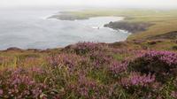 Dingle &ndash; &copy; Petra Sauer (Eberhardt TRAVEL)