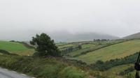 Dingle &ndash; &copy; Petra Sauer (Eberhardt TRAVEL)