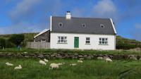 Ring of Kerry &ndash; &copy; Petra Sauer (Eberhardt TRAVEL)