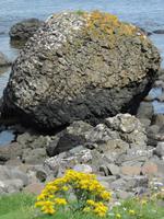 15 Basalt &ndash; &copy; Astrid Lang (Eberhardt TRAVEL)
