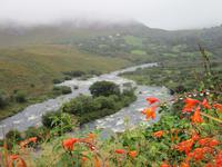 Caragh River &ndash; &copy; Peter Rudolph (Eberhardt TRAVEL)
