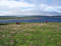 Blick nach Ceide Fields &ndash; &copy; adelheid fritzsche (Eberhardt TRAVEL)
