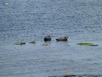 Aran Islands - Inish Mór &ndash; &copy; Ralf Kuchenbecker (Eberhardt TRAVEL)