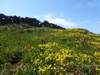Aran Islands - Inish Mór &ndash; &copy; Ralf Kuchenbecker (Eberhardt TRAVEL)