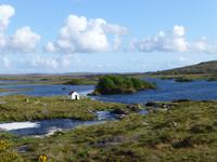 Connemara
