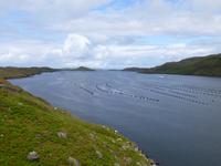 Killary Harbour &ndash; &copy; Ralf Kuchenbecker (Eberhardt TRAVEL)