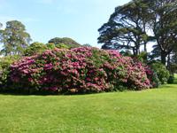 Muckross Park &ndash; &copy; Ralf Kuchenbecker (Eberhardt TRAVEL)
