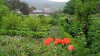 Glenveagh &ndash; &copy; Petra Sauer (Eberhardt TRAVEL)