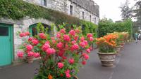 Glenveagh