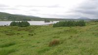 Connemara &ndash; &copy; Petra Sauer (Eberhardt TRAVEL)