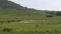 Connemara &ndash; &copy; Petra Sauer (Eberhardt TRAVEL)