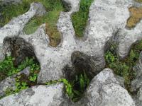 Burren &ndash; &copy; Petra Sauer (Eberhardt TRAVEL)