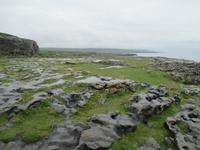 Burren &ndash; &copy; Petra Sauer (Eberhardt TRAVEL)