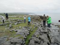 Burren &ndash; &copy; Petra Sauer (Eberhardt TRAVEL)