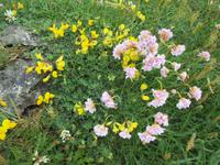 Burren &ndash; &copy; Petra Sauer (Eberhardt TRAVEL)