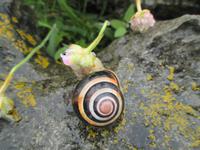 u &ndash; &copy; Petra Sauer (Eberhardt TRAVEL)