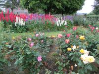Tralee Rosengarten &ndash; &copy; Petra Sauer (Eberhardt TRAVEL)