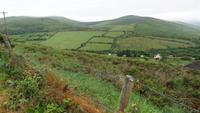 Dingle