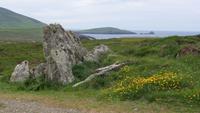 Dingle &ndash; &copy; Petra Sauer (Eberhardt TRAVEL)