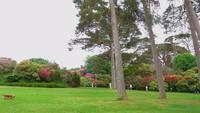 Muckross  &ndash; &copy; Petra Sauer (Eberhardt TRAVEL)