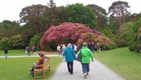 Muckross  &ndash; &copy; Petra Sauer (Eberhardt TRAVEL)