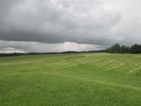 Phoenix Park &ndash; &copy; Petra Sauer (Eberhardt TRAVEL)