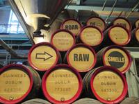 Guinness &ndash; &copy; Petra Sauer (Eberhardt TRAVEL)