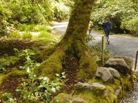  Kylemore Park &ndash; &copy; Adelheid Fritzsche (Eberhardt TRAVEL)