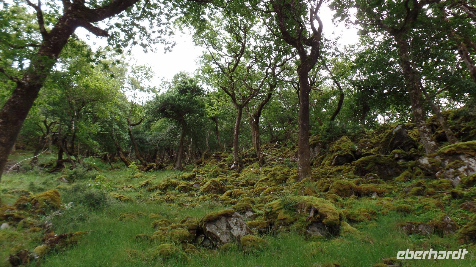 Glenveagh &ndash; &copy; Petra Sauer (Eberhardt TRAVEL)
