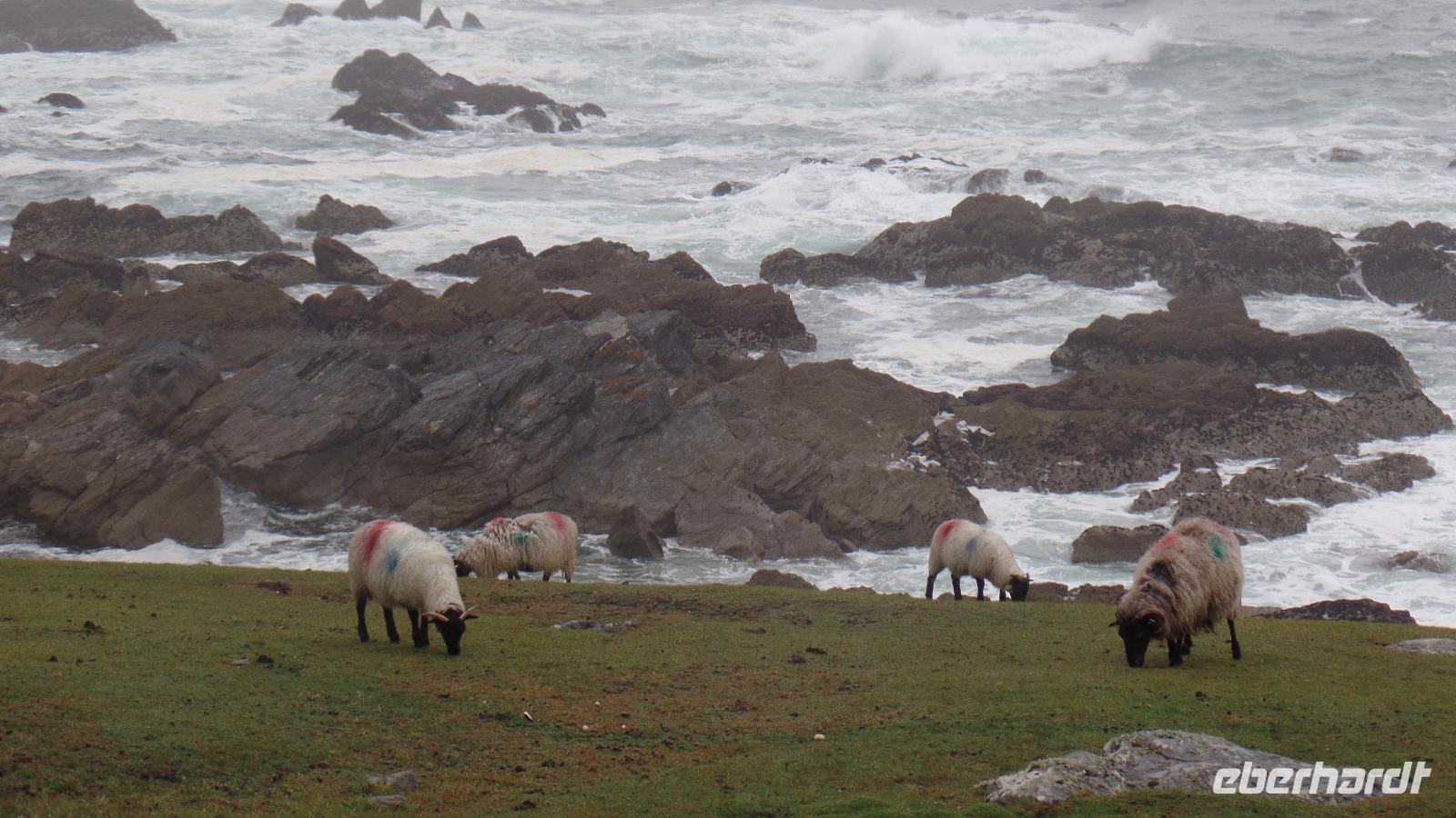 Achill Island &ndash; &copy; Petra Sauer (Eberhardt TRAVEL)