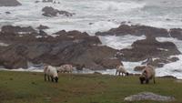 Achill Island &ndash; &copy; Petra Sauer (Eberhardt TRAVEL)